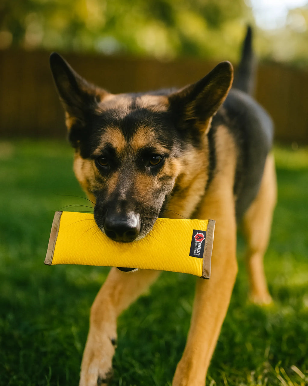 Recycled Fire Hose Dog Fetch Toy - XL